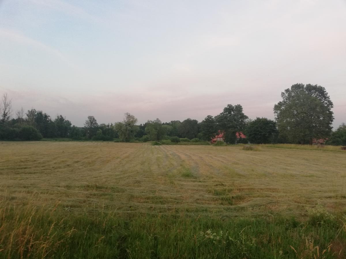 Agroturystyka "U Zrodla" Milicz Kültér fotó